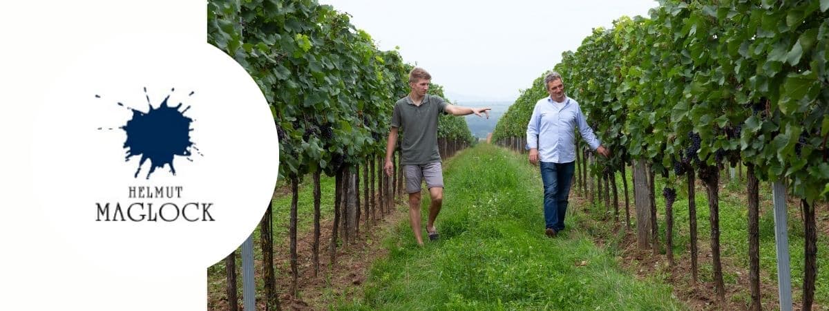 Österreichischen Wein vom Weingut Maglock online kaufen
