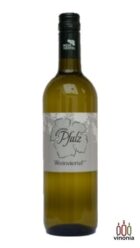 Grüner Veltliner Weinviertel DAC Winzerfamilie Pfalz kaufen