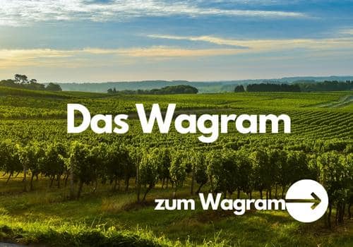 Weine aus dem Wagram in Niederösterreich kaufen