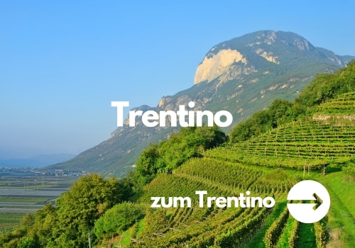 Wein aus dem Trentino kaufen