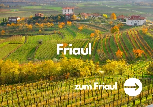 Wein aus dem Friaul kaufen
