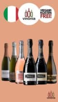 Prosecco Verkostpaket auf VINONIA.com kaufen