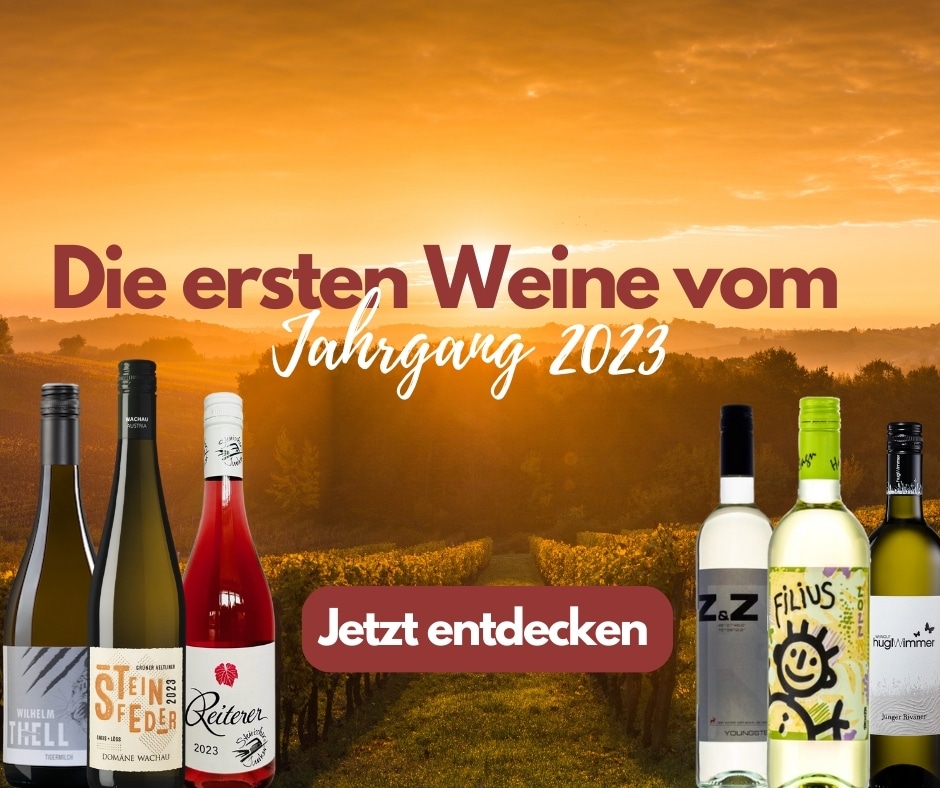 Die ersten Weine vom Jahrgang 2023 auf VINONIA.com entdecken