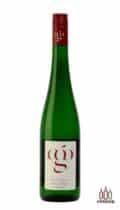 Grüner Veltliner Kamptal DAC Ried Panzaun vom Bioweingut Gruber43 kaufen