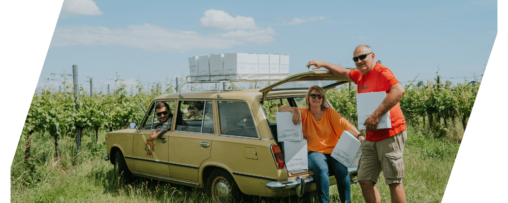 Bioweingut Landauer Gisperg Titelbild VINONIA.com